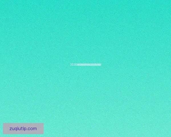 2026年世界杯主办国家及赛程安排全景解析